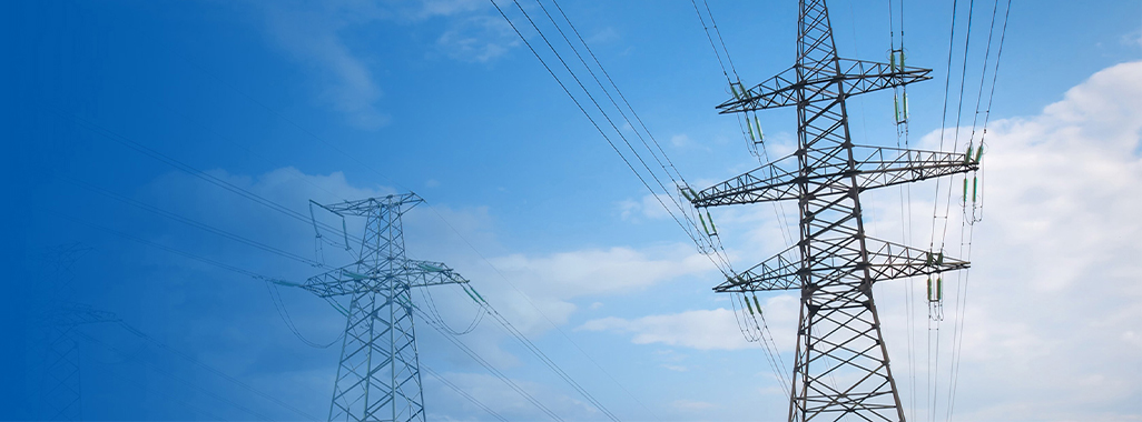 南京藍人電力科技有限公司